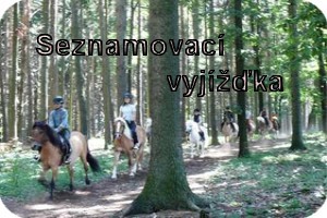 Nepojmenovan 1